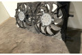 Электрический вентилятор радиаторов 214810046R, 0130307164   Renault Laguna III