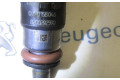 Форсунка 7701061008, 0280158046    Renault Twingo II  D4F-770 