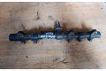 Топливная рампа A6650700495, 0622761233   SsangYong Rexton  