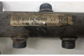 Vstřikovací lišta A6420700495   Mercedes-Benz ML W164     