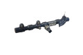Топливная рампа A6650700295, R9145Z010C   SsangYong Rexton  