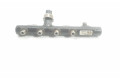 Vstřikovací lišta 175213876R, 175218188R   Renault Megane III    K9K636 