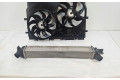 Интеркулер  LB479002, DF630001   Citroen Jumper 