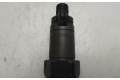 Форсунка LCR6735201D    Peugeot Expert   