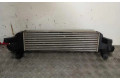 Интеркулер  MN135001, MN135001   Mitsubishi L200 