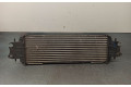 Píst 1449600Q0A   Nissan Primastar    F9QU762 
