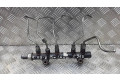 Vstřikovací lišta 968529758001   Citroen DS3  pro naftový motor 1.6  