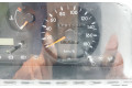 Přístrojová deska  Nissan Terrano 1994 248100F010, 09050919905  