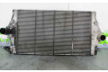 Интеркулер  8200075810C, B3988   Renault Espace III 