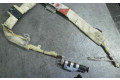 Подушка безопасности двери P04649126AF, TC0RU268411181   Chrysler 300M