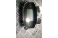 Панель приборов 248105160R   Renault Twizy       
