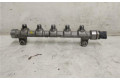 Vstřikovací lišta 314002A420, 314002A420   Hyundai Tucson LM    D4FD 