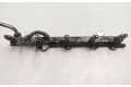 Vstřikovací lišta 0485146, 9202710   Volvo S60     