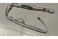 Боковая подушка безопасности N1WB-E042D95-AE, N1WBE042D95AE   Ford Ranger IV