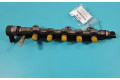 Топливная рампа 0445214173, IMPRK1457783   Renault Laguna III   для двигателя M9R N744