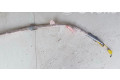 Надувная подушка для крыши 7L5880741D   Porsche Cayenne (9PA)      