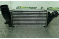 Интеркулер  0384-P2, 0384-P2   Citroen Jumpy 