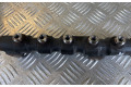 Vstřikovací lišta 9654592680, 9654590   Fiat Scudo     