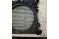Комплект радиатора 1J0121205B   Volkswagen Golf IV 2002