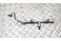 Vstřikovací lišta 9802545280   Citroen DS3     