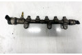 Топливная рампа 0445214173, 0445214173   Renault Laguna III  