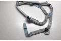 Боковая подушка безопасности 4F9880742A, 4F9880742   Audi A6 S6 C6 4F