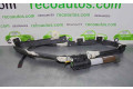 Подушка безопасности двери 517550870, 34019365C   Fiat Linea