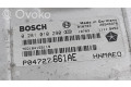 Řídící jednotka P04727661AE, 0281010290   Chrysler Voyager 2002