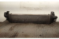 Интеркулер  4N5H9L440VF, 31280122   Volvo S40 