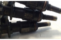 Комплект форсунок 166007686R    Dacia Sandero II   