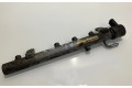Vstřikovací lišta A6420700495, 0731500413   Mercedes-Benz CLS C219    642.920 