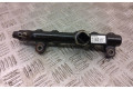 Vstřikovací lišta 967430008005   Ford Kuga II     