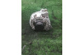 Генератор 0986045340, 140AMP.   Audi RS4 B7      