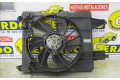 Комплект вентиляторов     8200151464, 8200151464    Renault Megane II 