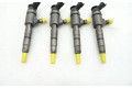 Комплект форсунок 0445110566    Peugeot Expert   