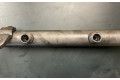 Vstřikovací lišta A6420702595, 0728000028   Mercedes-Benz S W221     