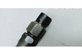 Vstřikovací lišta 8945820052, 655004D22   Toyota Land Cruiser (J150)     
