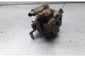 Vstřikovací čerpadlo 9651590880   Mazda 2    - 