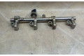 Vstřikovací lišta A2710705495, 1213933692   Mercedes-Benz C W204    271.860 