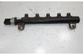 Vstřikovací lišta 96868901, R9144Z300A   Opel Antara     