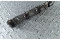 Комплект форсунок 16600ED000, 17520ED00A    Nissan Cube Z12   