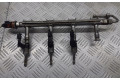 Топливная рампа 03F133320C   Skoda Roomster (5J)  