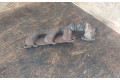 Всасывающий коллектор     21052110G, 2383    Jeep Grand Cherokee 