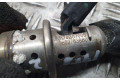 Vstřikovač 9802763880   Citroen Berlingo    BH02 