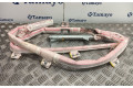 Подушка безопасности двери 7N0880742B   Seat Alhambra (Mk2)