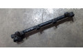 Vstřikovací lišta 7700112519   Renault Megane I     