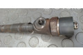 Форсунка 0445110243, NICHTZUTREFFEND    Saab 9-3 Ver2   
