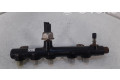 Vstřikovací lišta 9674300080   Ford Kuga II    T7MA 