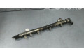 Vstřikovací lišta A6460700695, 0281002672   Mercedes-Benz Vito Viano W639    646980 