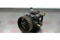 Vstřikovací čerpadlo 9658176080, SIEMENS   Citroen C2  pro naftový motor 1.4 8HZ 